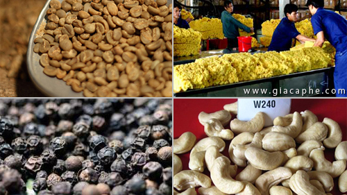 2  Phản hồi Việt Nam có thể thành lập các ban điều phối nông sản