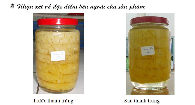 dua dong hop jimeivn 1